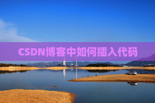 CSDN博客中如何插入代码